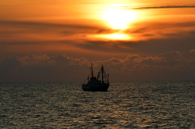 Solnedgang-over-NSO-vindmølle-park,-Søløven-gør-sig-godt-i-det-flotte-lys..jpg